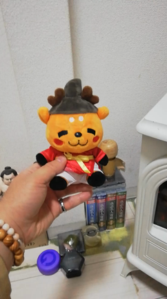 こいつどうするよの記事動画