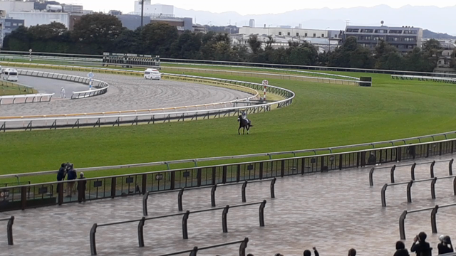 天皇賞(秋)観戦記③の記事動画