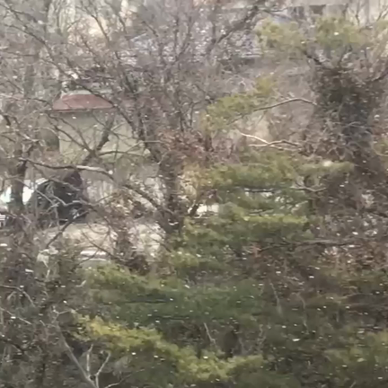 きのうの記事動画