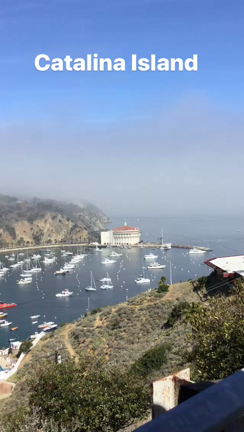 Catalina Island カタリナ島日帰り旅行の記事動画