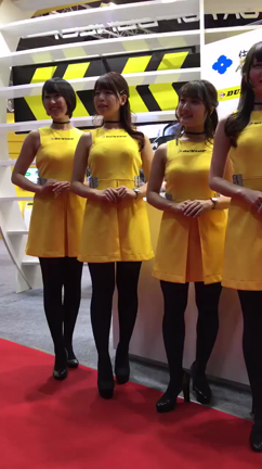 東京モーターショー2017☆DUNLOPブースの記事動画