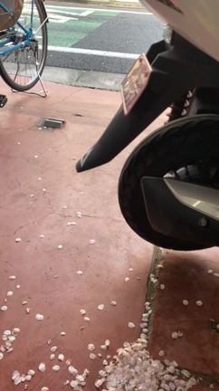 お届けついでに出張修理in都内の記事動画