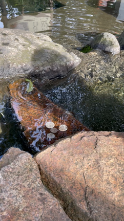 自分のトキメキを大切にしてみたらの記事動画