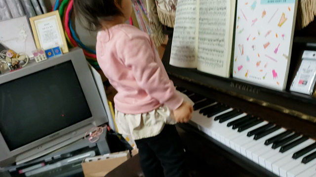 ☆永瀬まゆみ考案の導入期指導についてのセミナー☆の記事動画