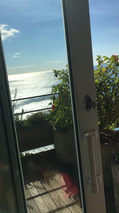 シチリアの伝統料理と三本足の記事動画