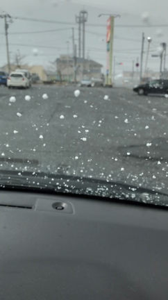 まだ雪は降るかぁ〜の記事動画