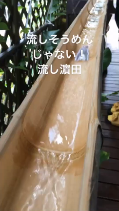 ぎゃははははヽ(｡>▽<｡)ﾉ夏行事？！の記事動画