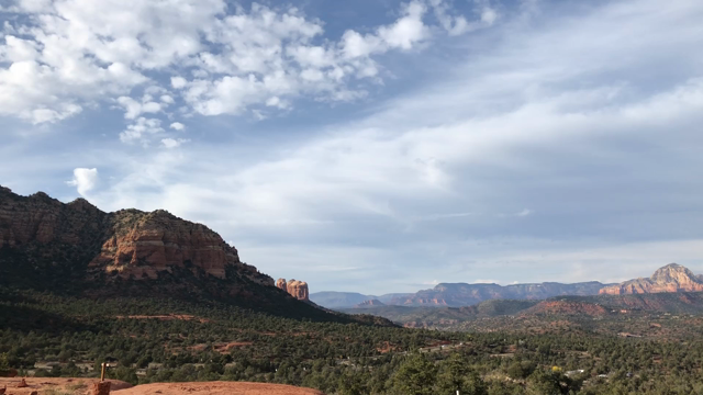 Arizona記の記事動画