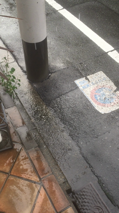 台風！！！の記事動画