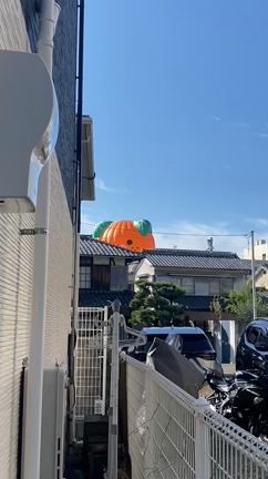 今日は…の記事動画