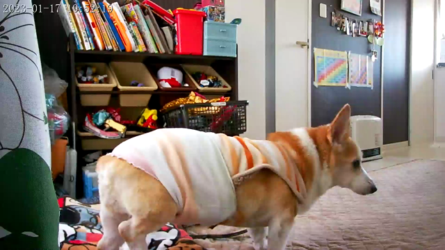 突然また痛みが出るのかな。の記事動画