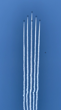 感謝飛行の記事動画