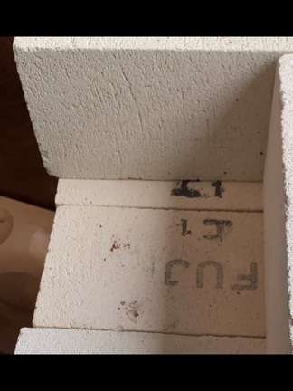 ニセのパラサイト（隕石ではありません）の記事動画