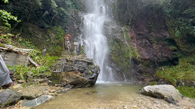 癒し♪の記事動画