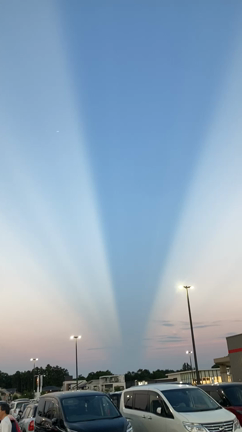 ８月１２日（土）〜１７日（木）までの記事動画