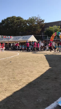 運動会の記事動画