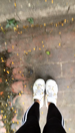 フィリピンの聖週間ホーリーウィークの記事動画