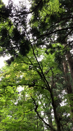 ◆ 龍神さまにご挨拶してきました ◆の記事動画