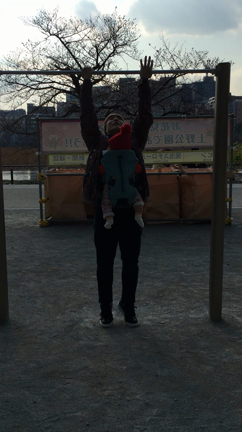 戦力外の記事動画