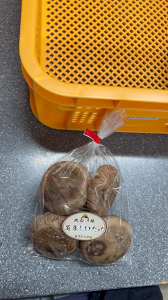 椎茸収穫についての記事動画