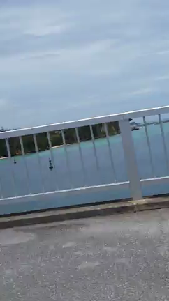 めんそ〜れっ！の記事動画