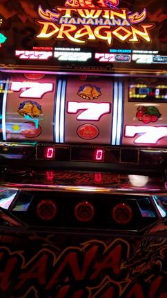 ⬛稼働報告⬛3月2日(土)～4月28日(日)平成最後のハナハナの記事動画