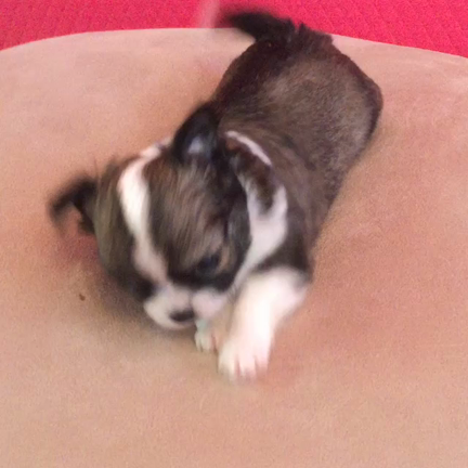 あま〜いお顔のお二人さんの記事動画