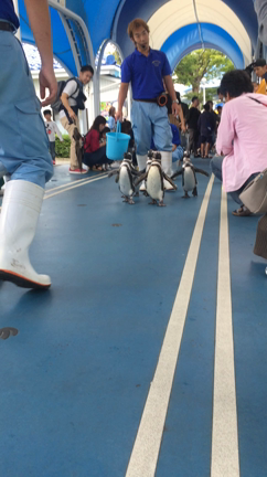 金沢・能登半島の旅行記の記事動画