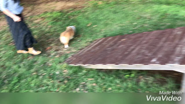 南紀串本リゾート大島の続きとかめさんの記事動画