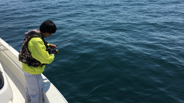 5月20日 釣果の記事動画