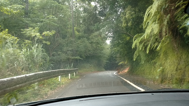 夏旅②IN加計呂麻島～奄美大島への記事動画