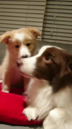 はじめまして～☆の記事動画