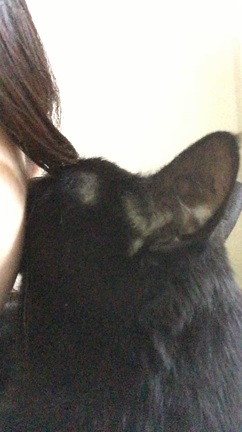 チュパチュパの記事動画