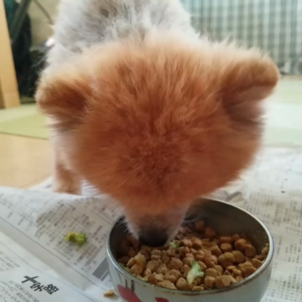 朝ごはん☕の記事動画