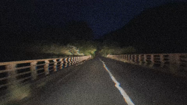 真野ダム釣果情報の記事動画