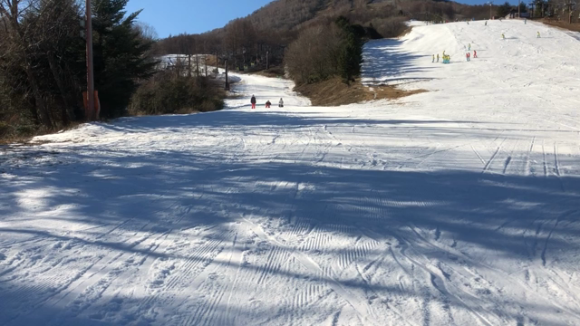 ウィンタースポーツの記事動画