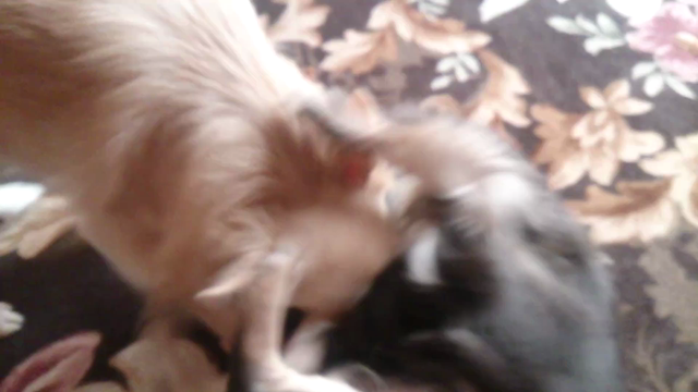 cannot stop loving. . .の記事動画