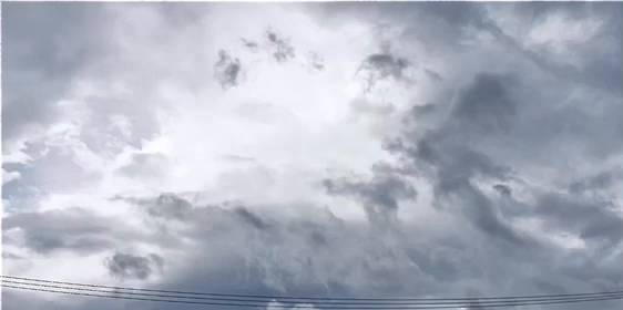 【読者投稿】夏と雨の楽しみの記事動画