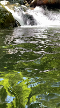 涼のお裾分け　part 3の記事動画