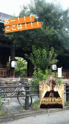 34週目健診  2人で最後の遠出の記事動画