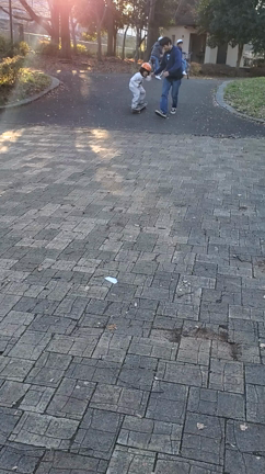 キャンプ中止の理由。の記事動画