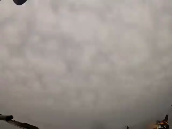 ドン・ウォーターマンの記事動画