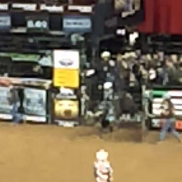 ニューヨークで初めてロデオを見たの記事動画