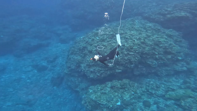 10月27日のレッスン♪～おじおば気分～の記事動画