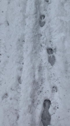 本日、ご予約の方への記事動画