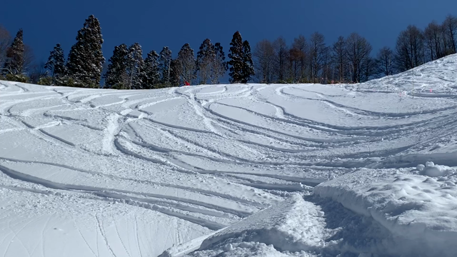 ハッピーの記事動画