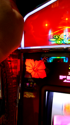 ⬛稼働報告⬛6月11日(日)～6月24日(土)ハナハナでハマり地獄……そして低貸しへ。。の記事動画