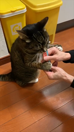 “The future can change the past.”の記事動画