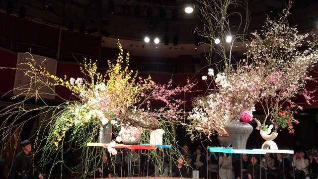 花いけバトルロイヤル2019、観戦！の記事動画