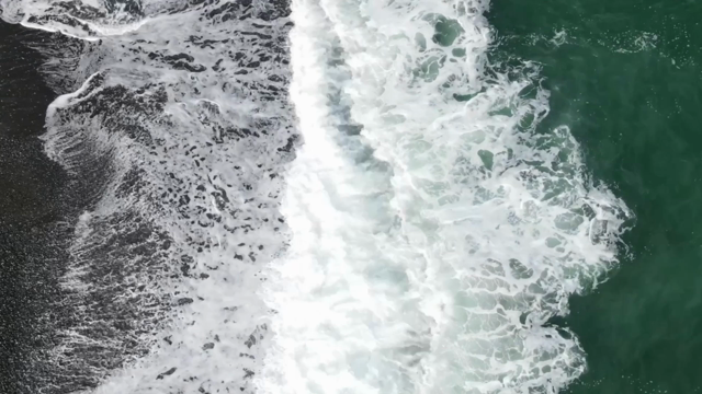 6/4 東京, 荻窪「ハンドパン・ナタラジナイト」の記事動画